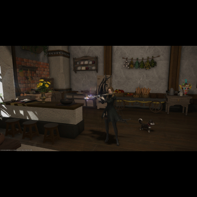 ffxiv 10282022 214510 347